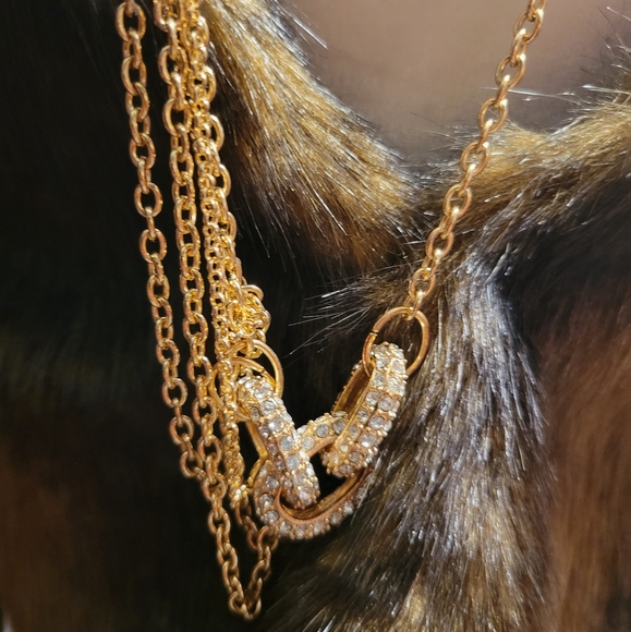 Circle Link Necklace - Picture 8 of 13